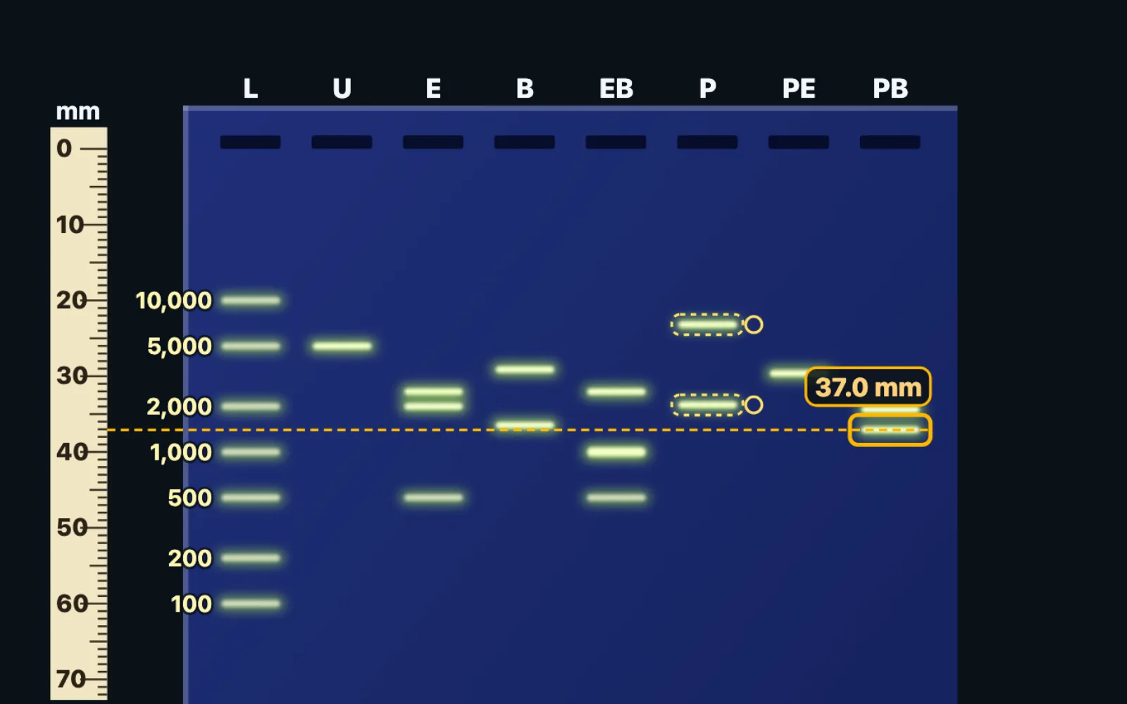 Biotechnology Lab screenshot