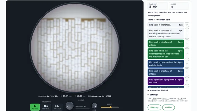 Microscope Cell Division Investigation screenshot