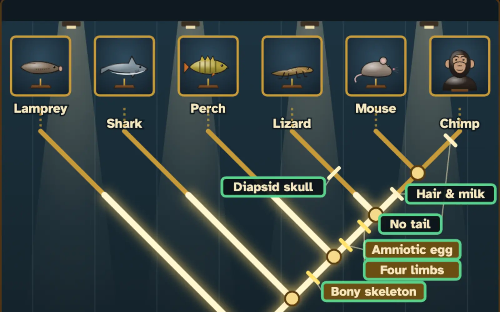 Cladogram Builder screenshot
