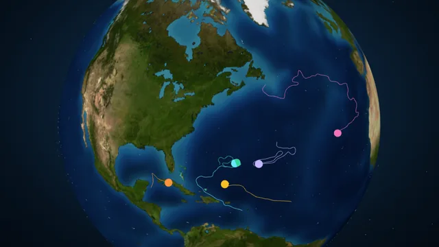 Currents: Ocean Circulation screenshot