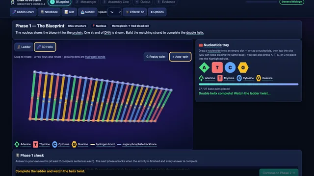 DNA to Protein Exploration screenshot