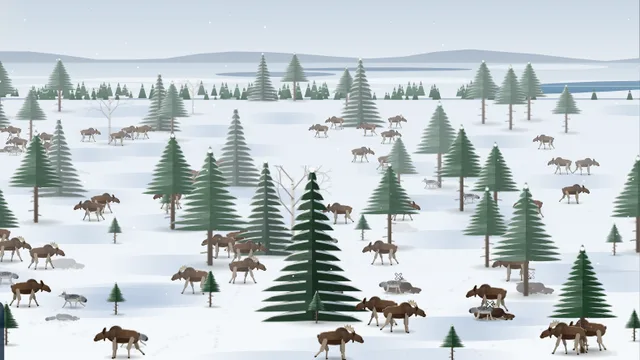 Ecosystem Dynamics Lab screenshot