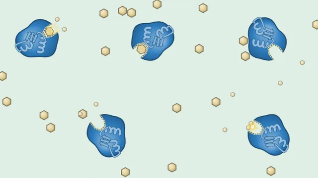 Enzyme Locksmith screenshot