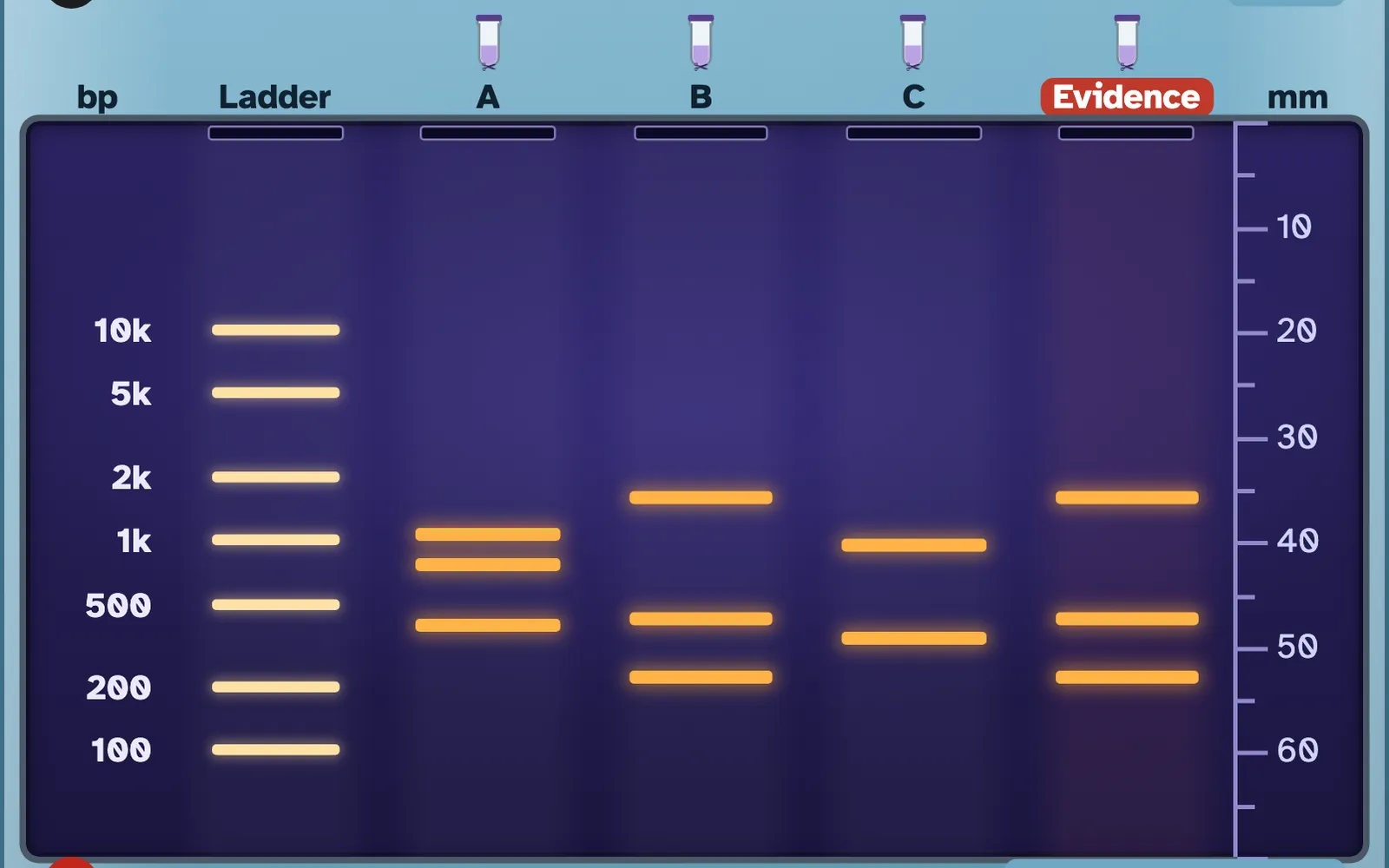 Gel Crime Lab screenshot