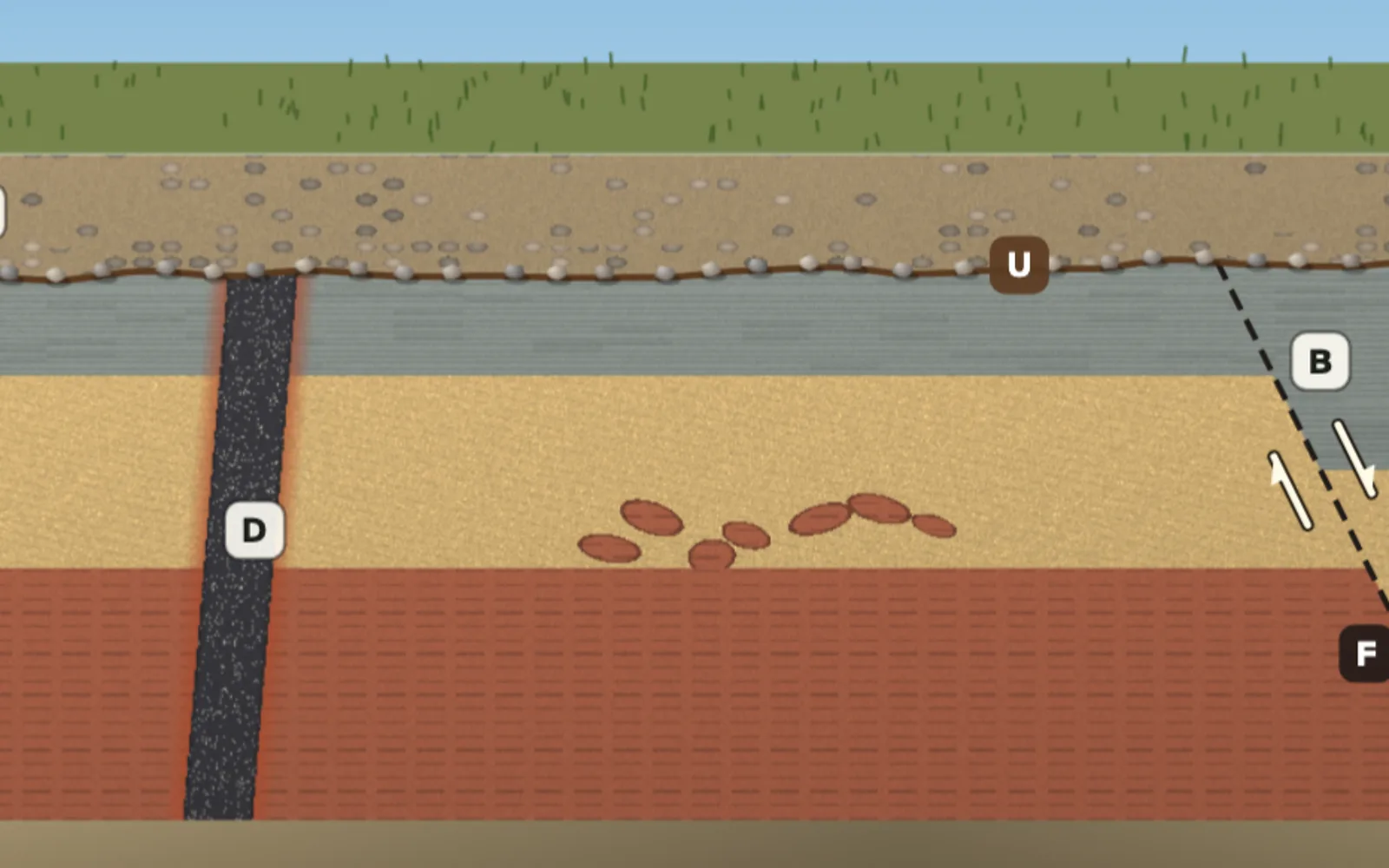 Geologic Time & Fossils Lab screenshot