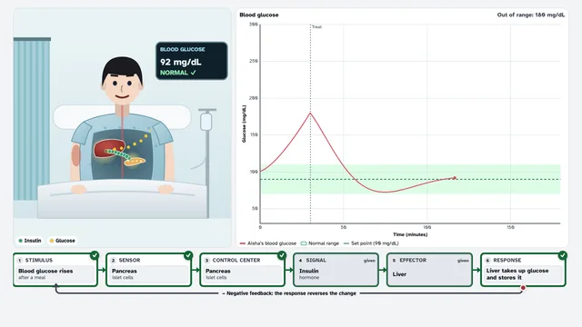 Homeostasis ER screenshot