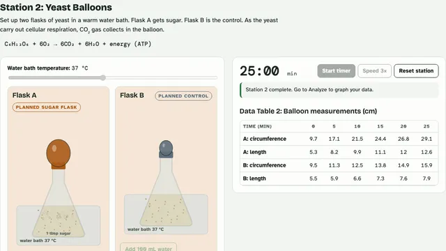 Leaf Disks & Yeast Balloons screenshot