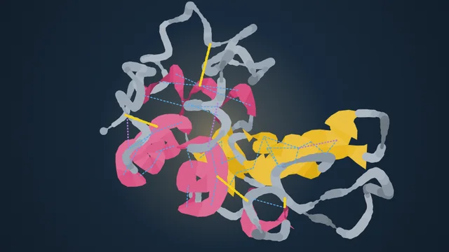 Macromolecule Builder screenshot