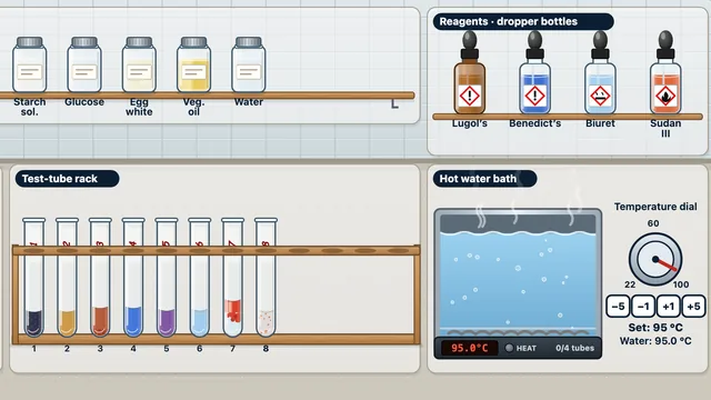 Macromolecule Identification Lab screenshot