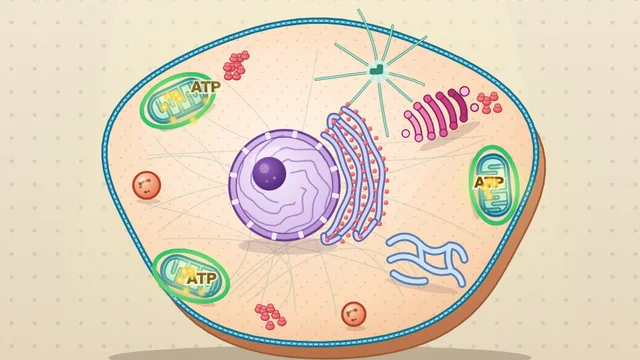 Organelle Repair Shop screenshot