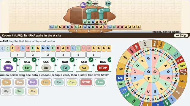 Ribosome Diner screenshot